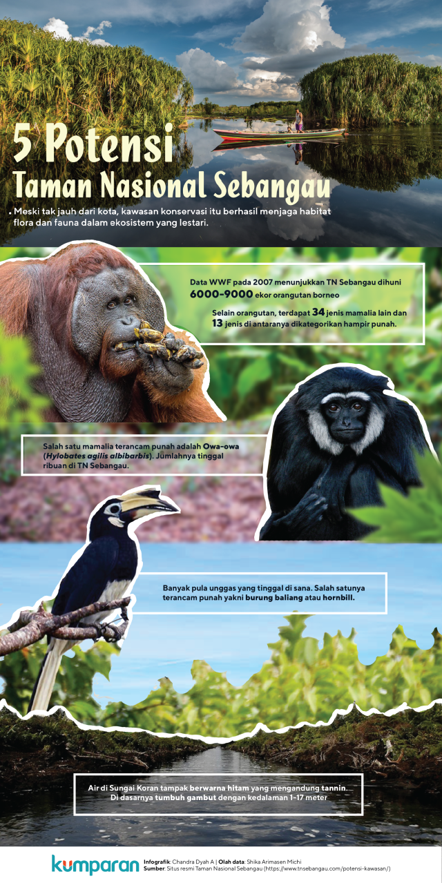 Cara Menjelajahi Taman Nasional Tanpa Merusak Ekosistem Panduan Untuk Petualang Yang Bertanggung Jawab