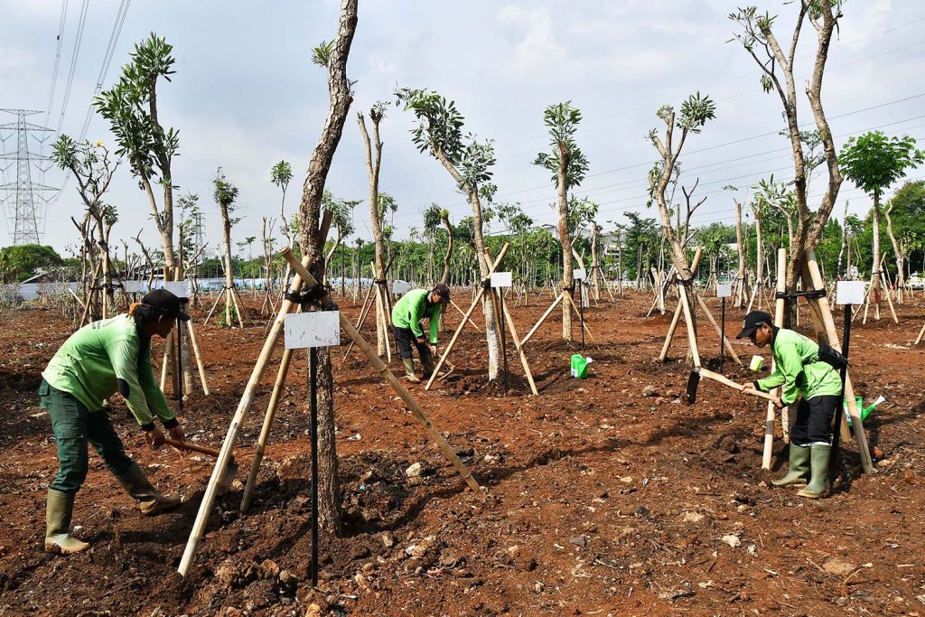 Sejumlah Petugas Dinas Pertamanan Da Hutan Kota Dki Jakarta Saat Melakukan Penanaman Pohon Di Kawasan Hutan Kota Jakarta Industrial Estate Pulogadung (jiep) Di Pulogadung, Jakarta Timur, Rabu (29/11/2023).