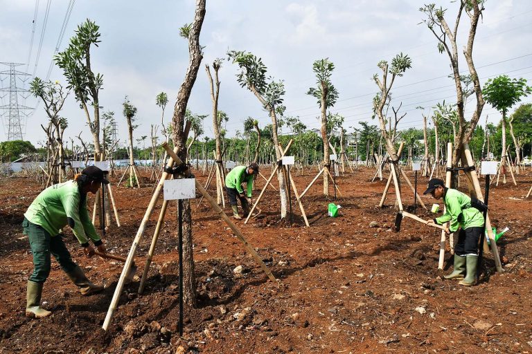 Sejumlah Petugas Dinas Pertamanan Da Hutan Kota Dki Jakarta Saat Melakukan Penanaman Pohon Di Kawasan Hutan Kota Jakarta Industrial Estate Pulogadung (jiep) Di Pulogadung, Jakarta Timur, Rabu (29/11/2023).