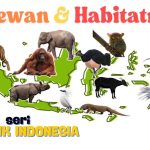 Mengenal Fauna Endemik Tanpa Mengganggu Habitatnya Panduan Untuk Penjelajah Bertanggung Jawab
