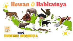 Mengenal Fauna Endemik Tanpa Mengganggu Habitatnya Panduan Untuk Penjelajah Bertanggung Jawab