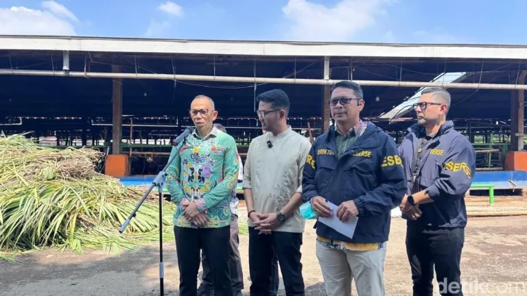 Antisipasi Ancaman Zoonosis Strategi Berlapis Dki Jakarta Amankan Hewan Kurban Jelang Idul Adha 2026